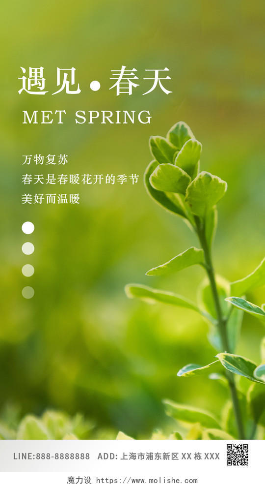 绿色新芽小花小草春天意境ui手机海报春季